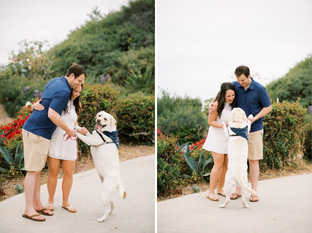 Bring your dog to your engagement session
